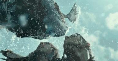 在澳洲生活却找不到组织？新足迹论坛到底怎么玩？