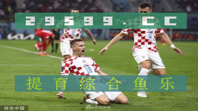 雨燕直播足球免费在线观看