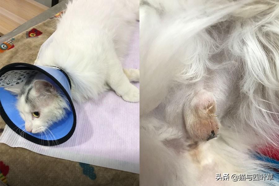 为什么别人的人鱼线像雕刻，你的却像打码？