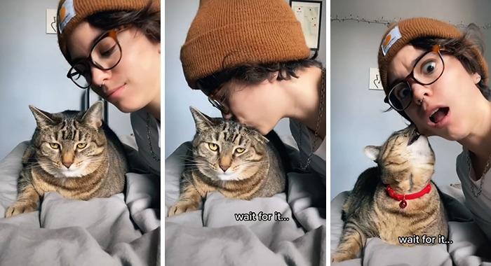 你家猫主子突然咬你手是几个意思？