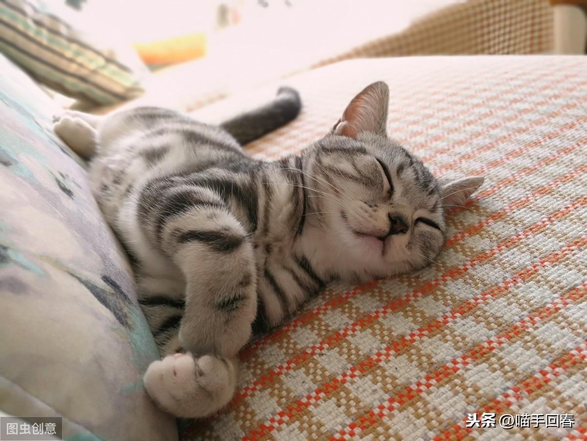 上海封控期间普通人如何生存? 上海封控期间普通人如何生存?