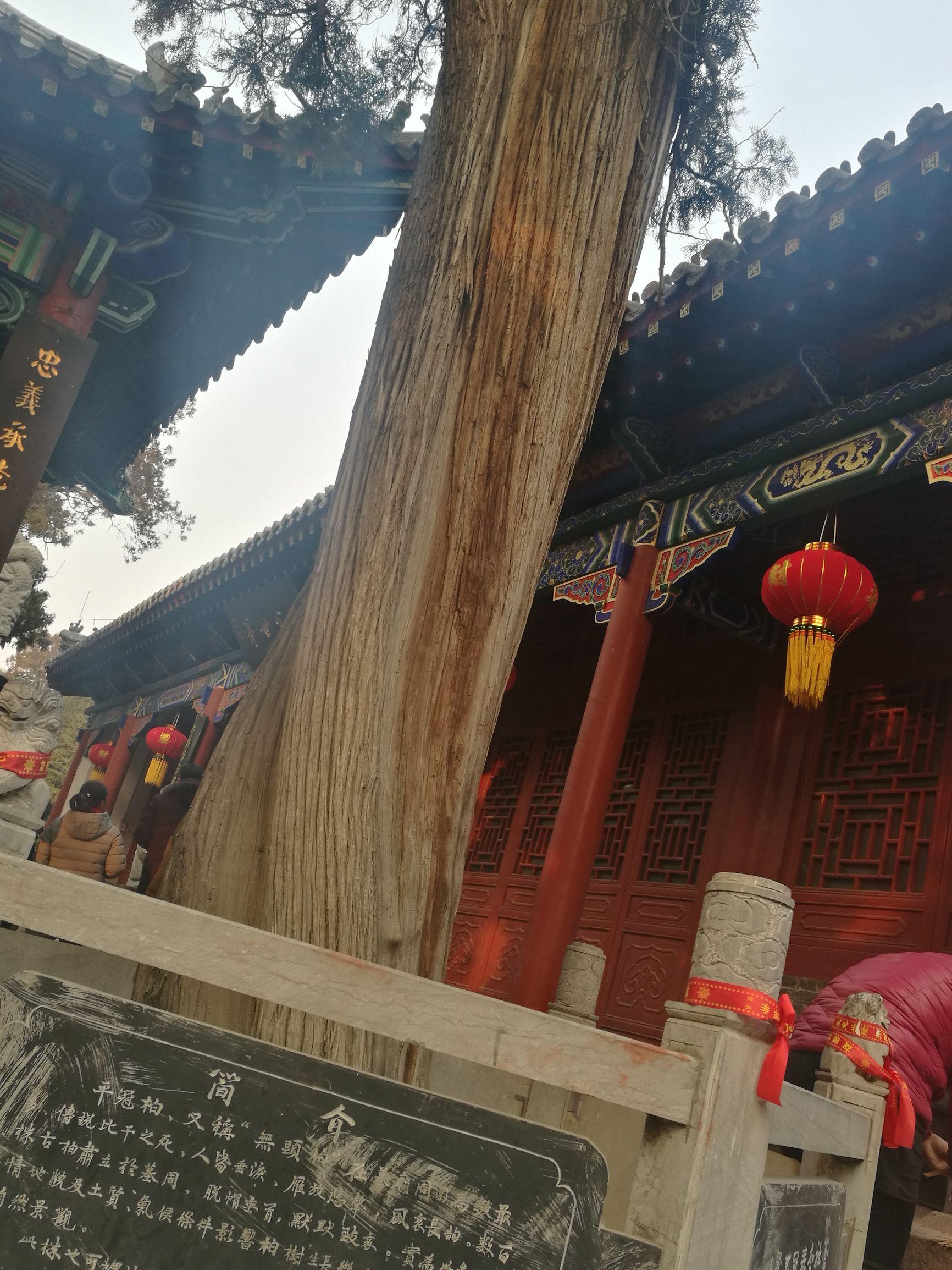 林姓取名必须带木字旁？这30个名字打破你的认知！