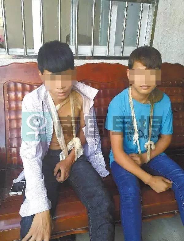 猫咪睡觉呼噜声像拖拉机?新手必看解答手册 猫咪睡觉呼噜声像拖拉机?新手必看解答手册