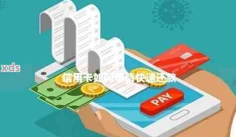 最好用的信用卡还款软件推荐,操作简单到账快,用过的人都夸好 最好用的信用卡还款软件推荐,操作简单到账快,用过的人都夸好