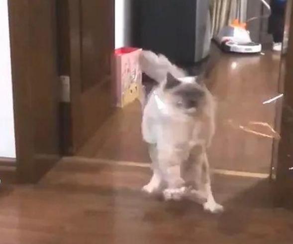 奔驰论坛新手如何快速入门？