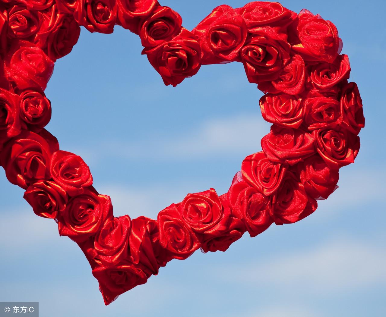 你家猫主子能通关吗? 你家猫主子能通关吗?