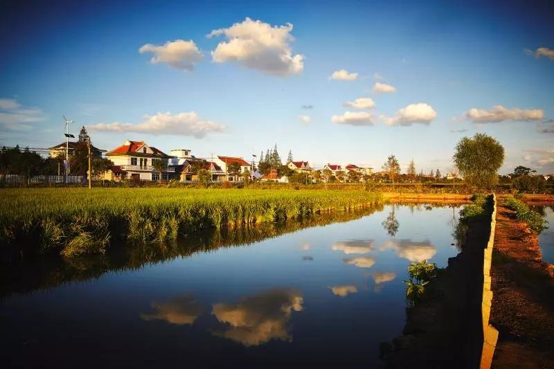 新华社海外华人论坛到底怎么玩？