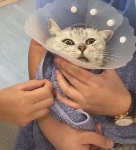 葡萄牙对美国怎么踢才够爽？