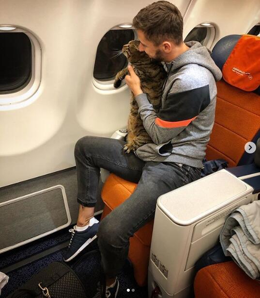 带猫坐飞机到底要踩多少坑？