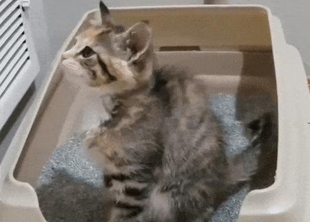 二手起亚K3到底值不值得买？新手必看的避坑指南