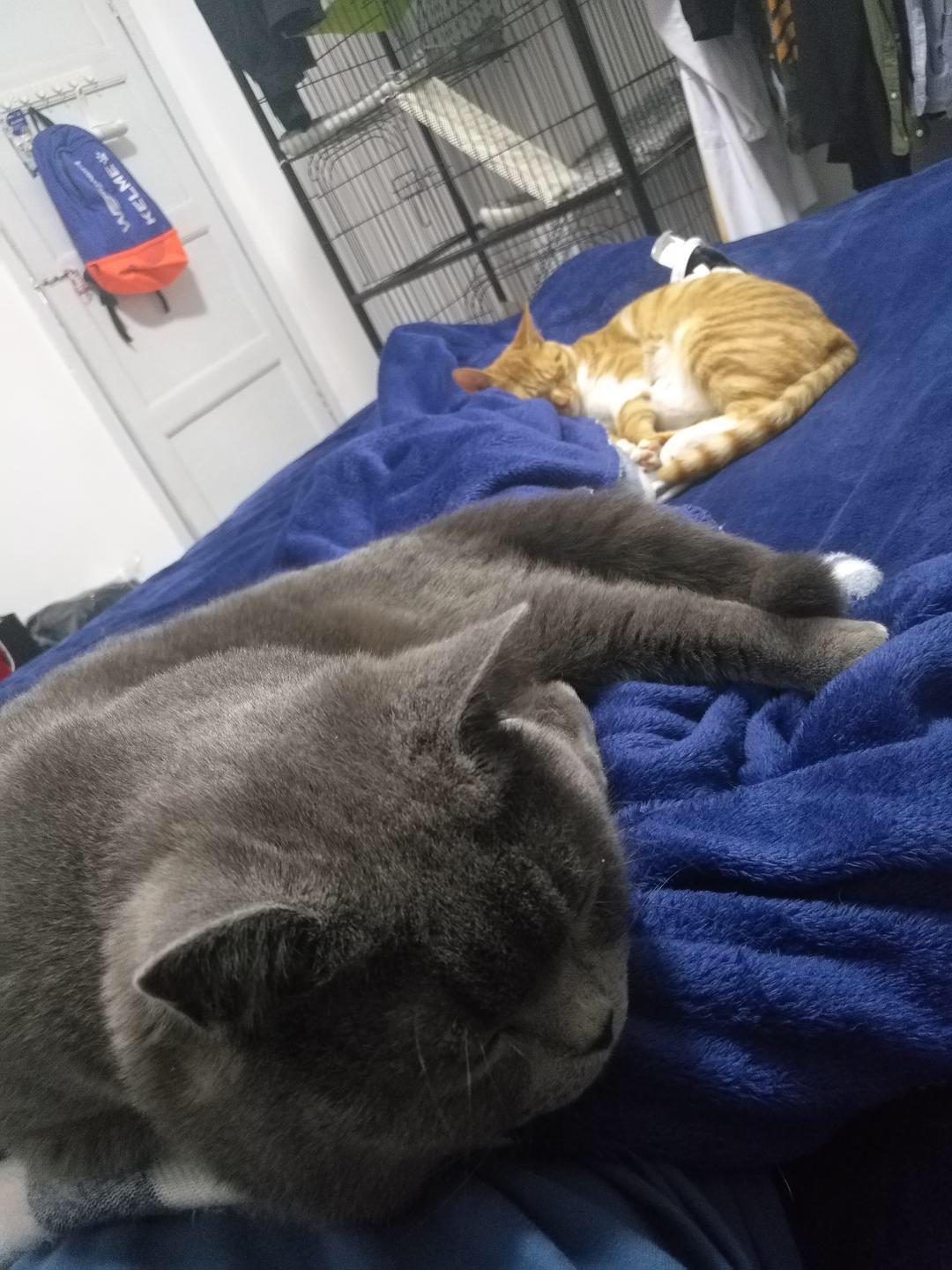 奥迪A7怎么改装才能帅到没朋友？