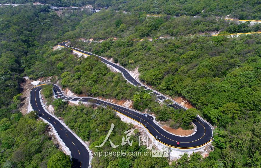 梦见参加活动赢了预示什么？2025年星座运势与破局指南