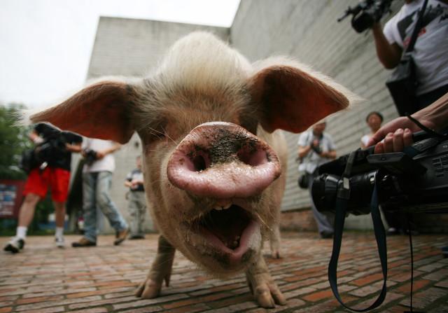 为什么2016年6月被老玩家称为 游戏圈地震月 ？