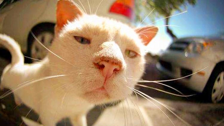 中国女足客场2-1韩国到底赢在哪？菜鸟也能看懂的破局秘籍