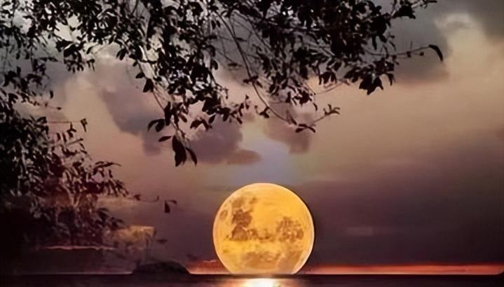 卜易居八字算命网到底准不准？第一次用要注意什么坑？