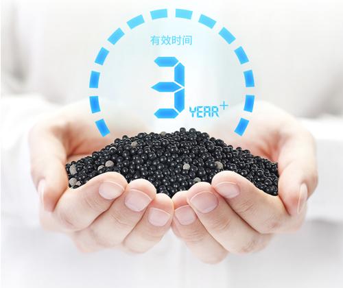 猫咪吃吊兰会中毒吗?新手铲屎官必看生存指南 猫咪吃吊兰会中毒吗?新手铲屎官必看生存指南