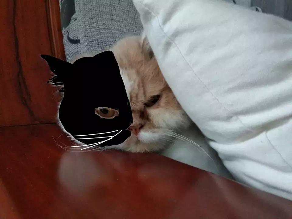 刚来美国连水电费都不会交？华人论坛能救命你信吗？