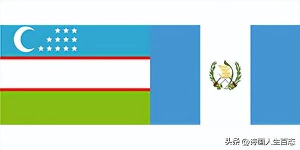 给猫咪做B超到底有没有必要？