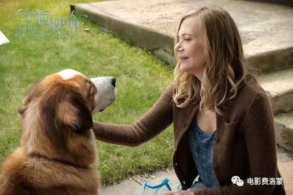 梦中的情人歌曲预示什么？2025星座解梦：3招唤醒真爱契机