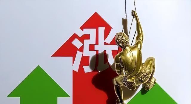 为什么有人会看猫咪的成人网站？