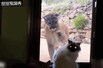 第一次玩华人论坛贴吧怎样才能不被当小白? 第一次玩华人论坛贴吧怎样才能不被当小白?