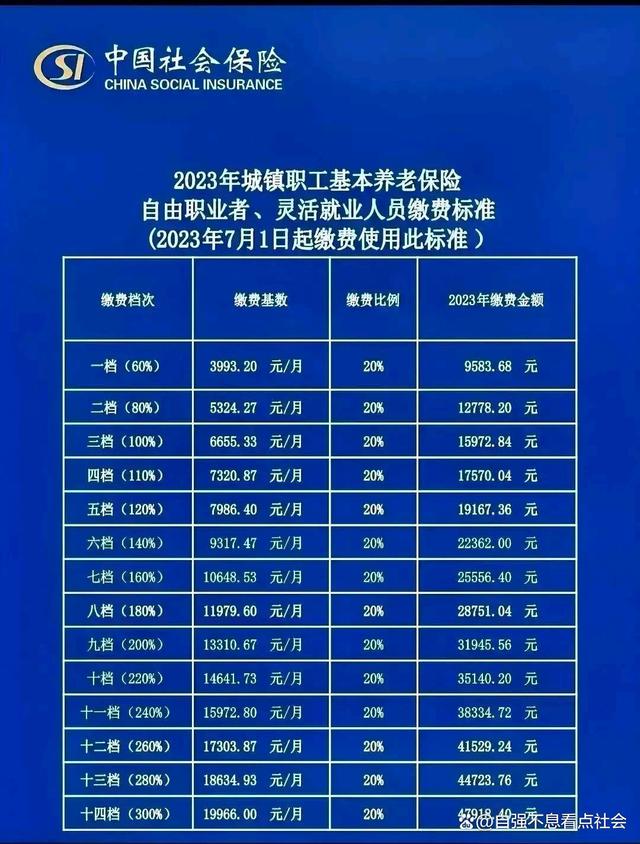 社保分几个档次？选哪个档次最划算？不同收入人群，推荐指南