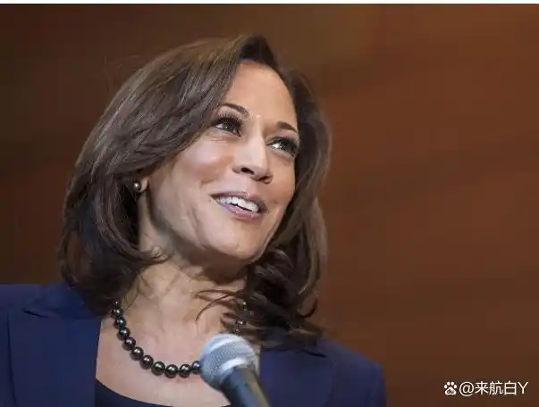 印度裔国际影响力_印度华裔现状分析_新加坡印度裔总统