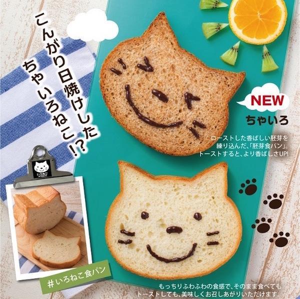 人生必读书（每一本都可以读一辈子）