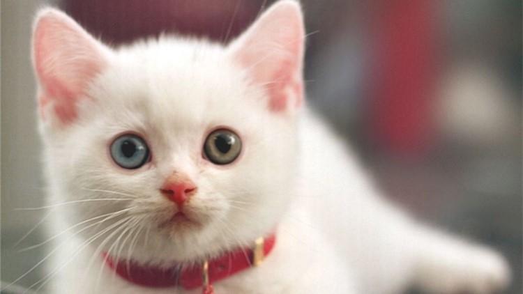 收到钞票总怕假?手把手教你成为鉴钞高手! 收到钞票总怕假?手把手教你成为鉴钞高手!