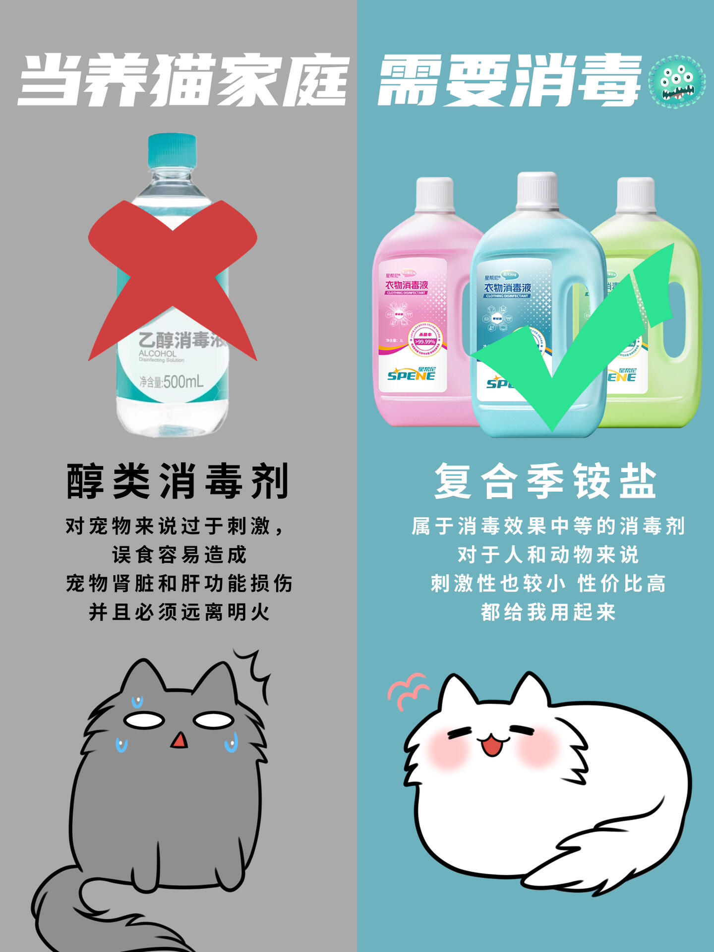 用错消毒液会害死猫？新手养猫必看的消毒指南！