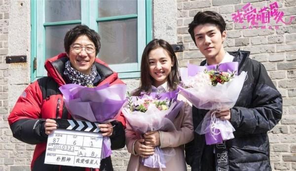 为什么别人的猫表情包总能刷屏？