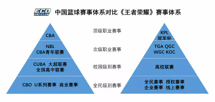 篮球等级是什么概念？快来了解下国际及职业、业余联盟区别