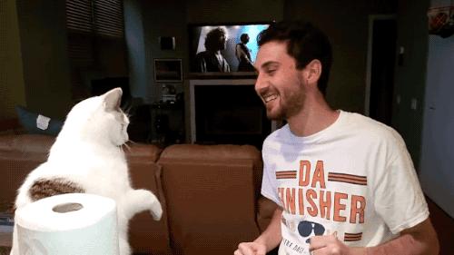 猫咪maomiav能让你彻底告别铲屎官生活吗? 猫咪maomiav能让你彻底告别铲屎官生活吗?