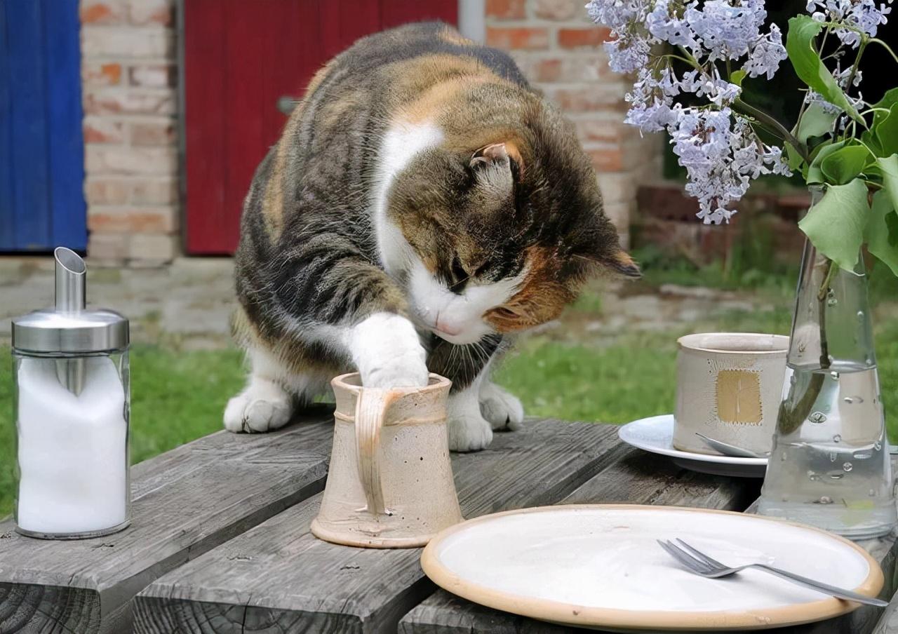 在浙江买二手车真的靠谱吗？