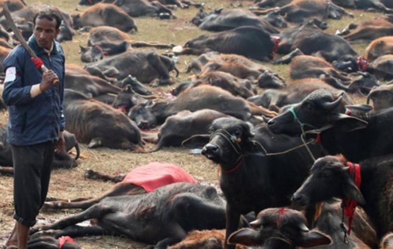 梦见头颅还流着血：吉凶预兆与科学解读全解析