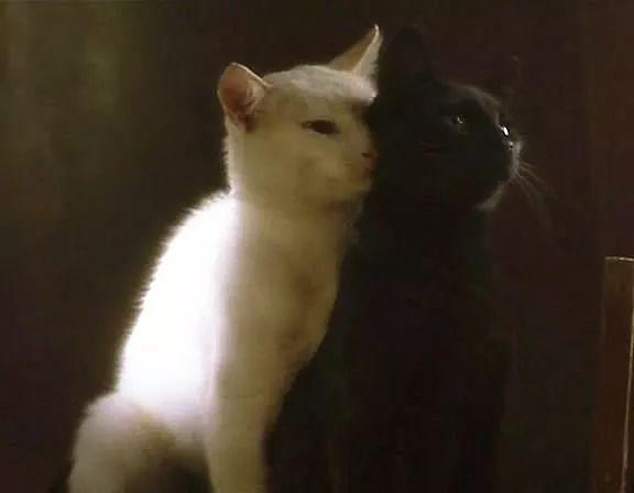 梦见门坏了什么意思？2025年运势危机与转运指南