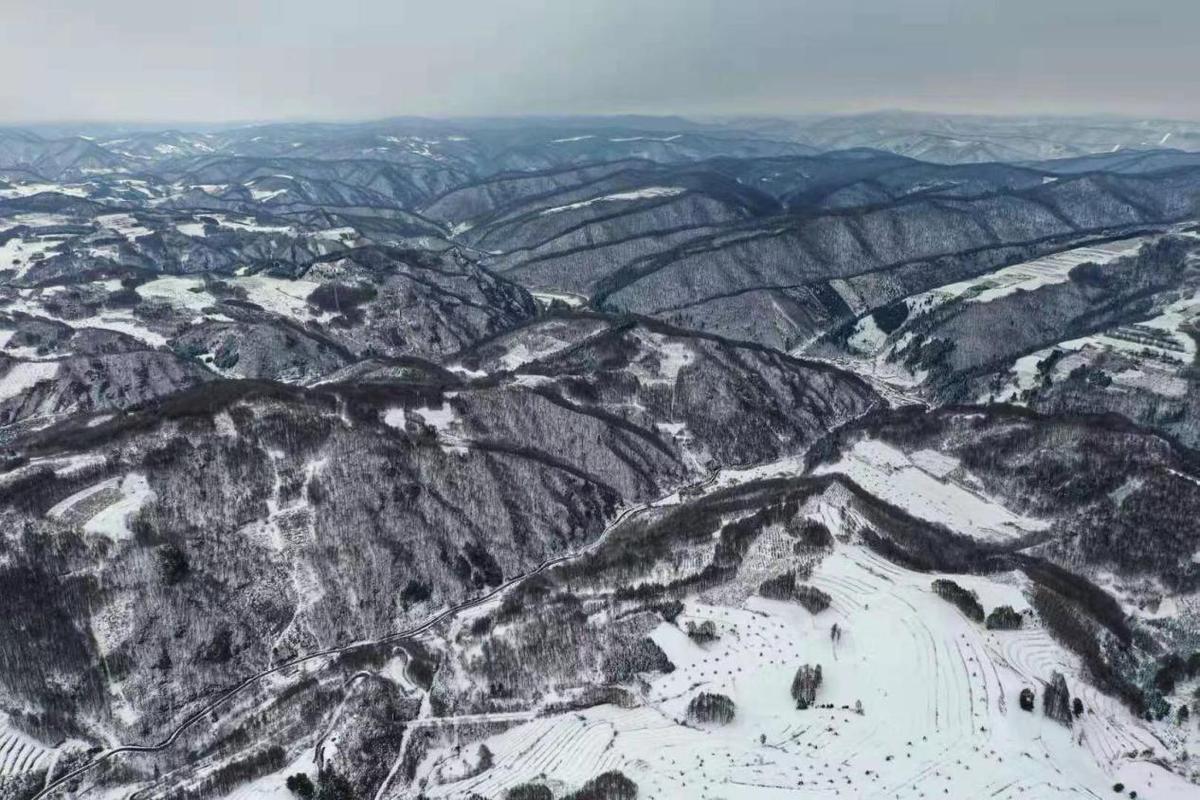 梦见自己秃头是身体在报警吗? 梦见自己秃头是身体在报警吗?