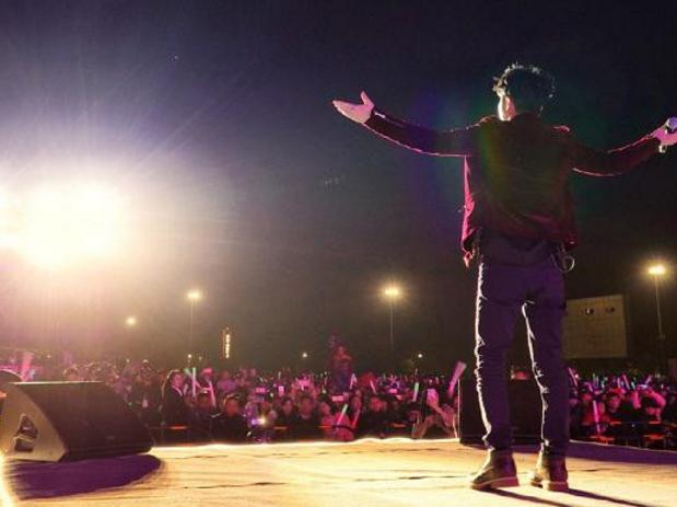 新手铲屎官必看！猫咪软便拉稀到底藏着什么秘密？