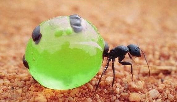 梦见算命先生是福还是祸？