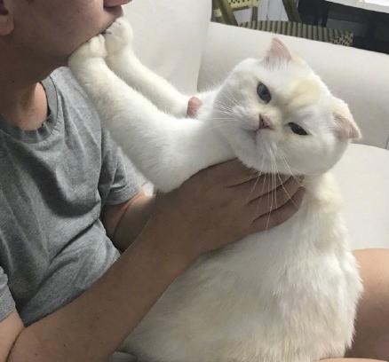 考尔克这英雄到底该怎么玩？