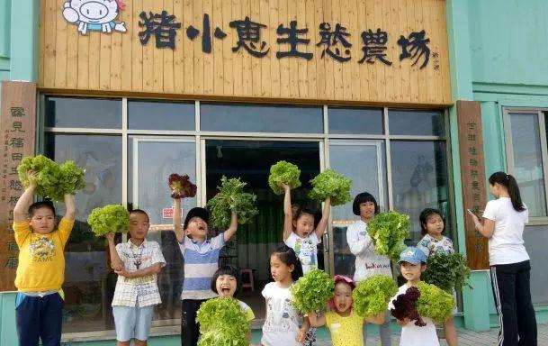 微信上算命的师傅真的能看透你的命运吗? 微信上算命的师傅真的能看透你的命运吗?