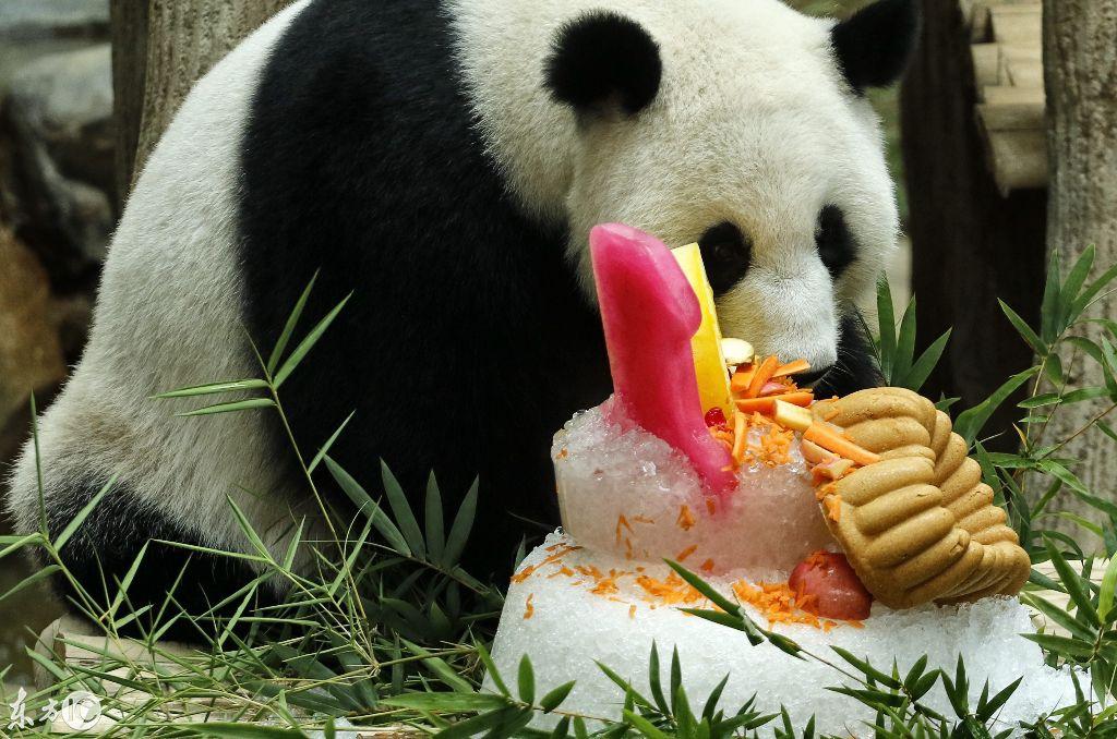 8月23日到底藏着多少惊天秘密？