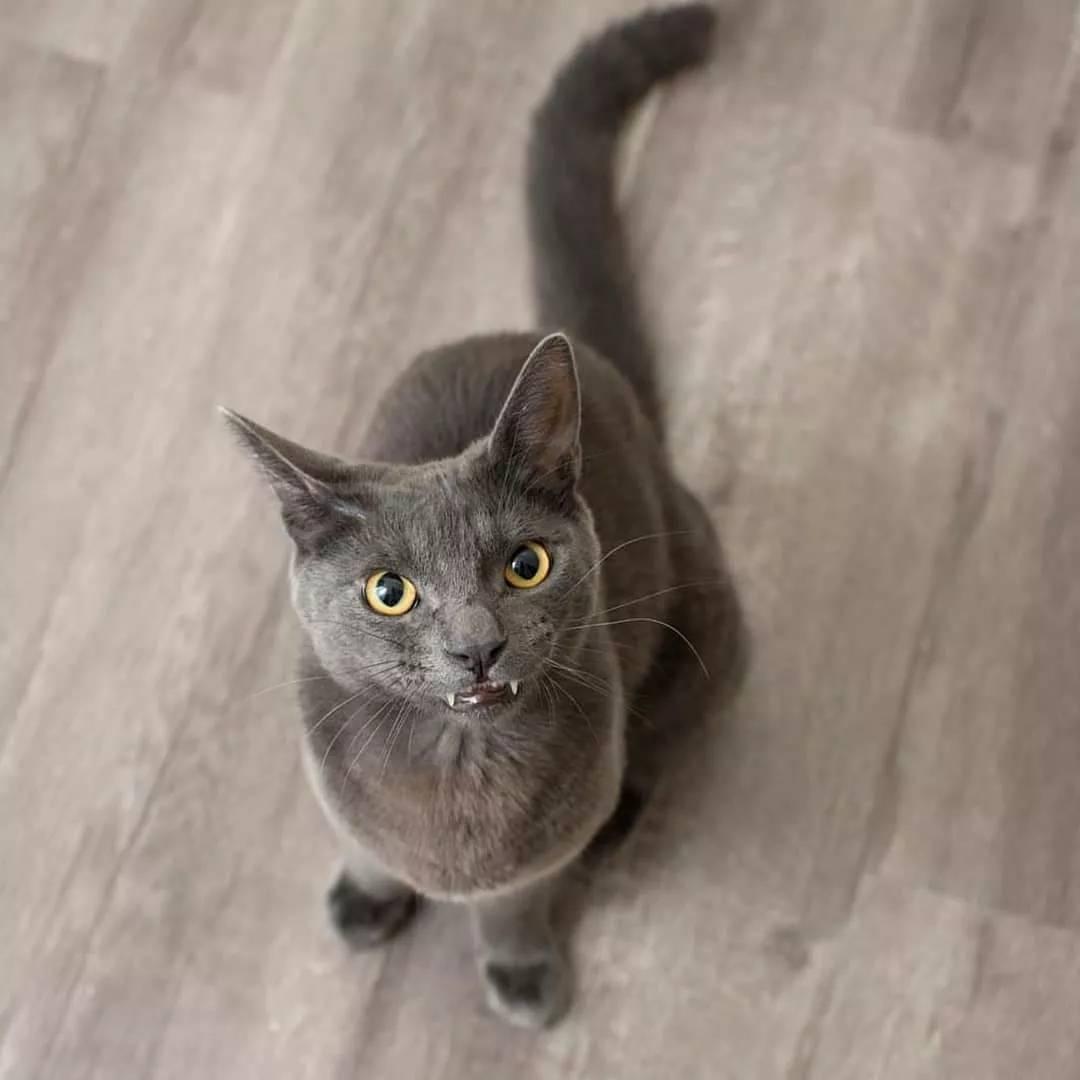 1977年出生的人真的自带财库吗？