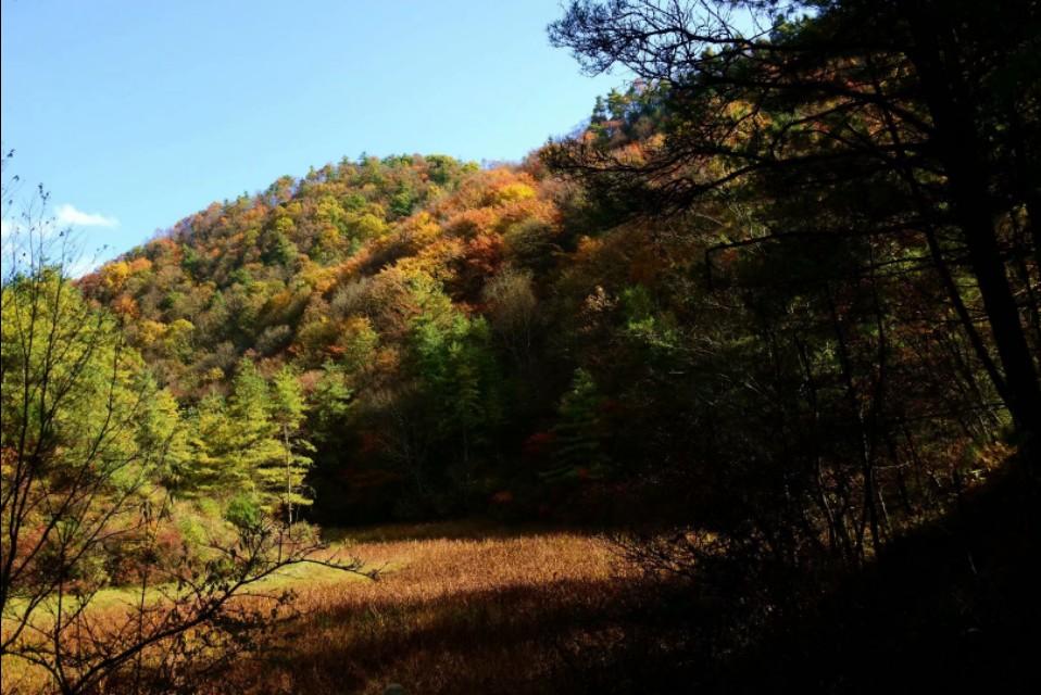 第一次去广元长途汽车站需要注意什么? 第一次去广元长途汽车站需要注意什么?