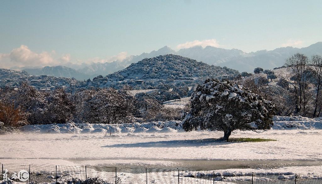 科西嘉人为何让法国又爱又恨？