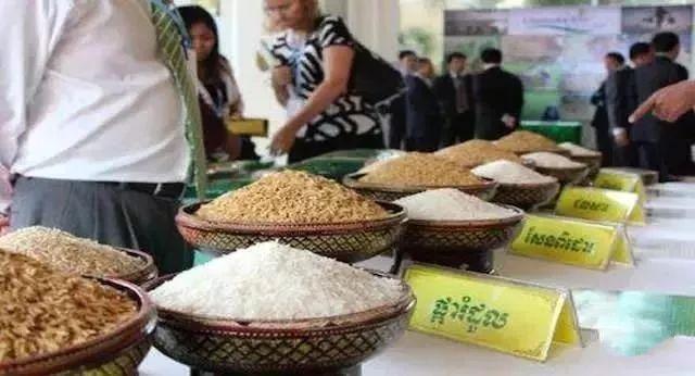 在柬埔寨生活不会用华人论坛？你亏大了！