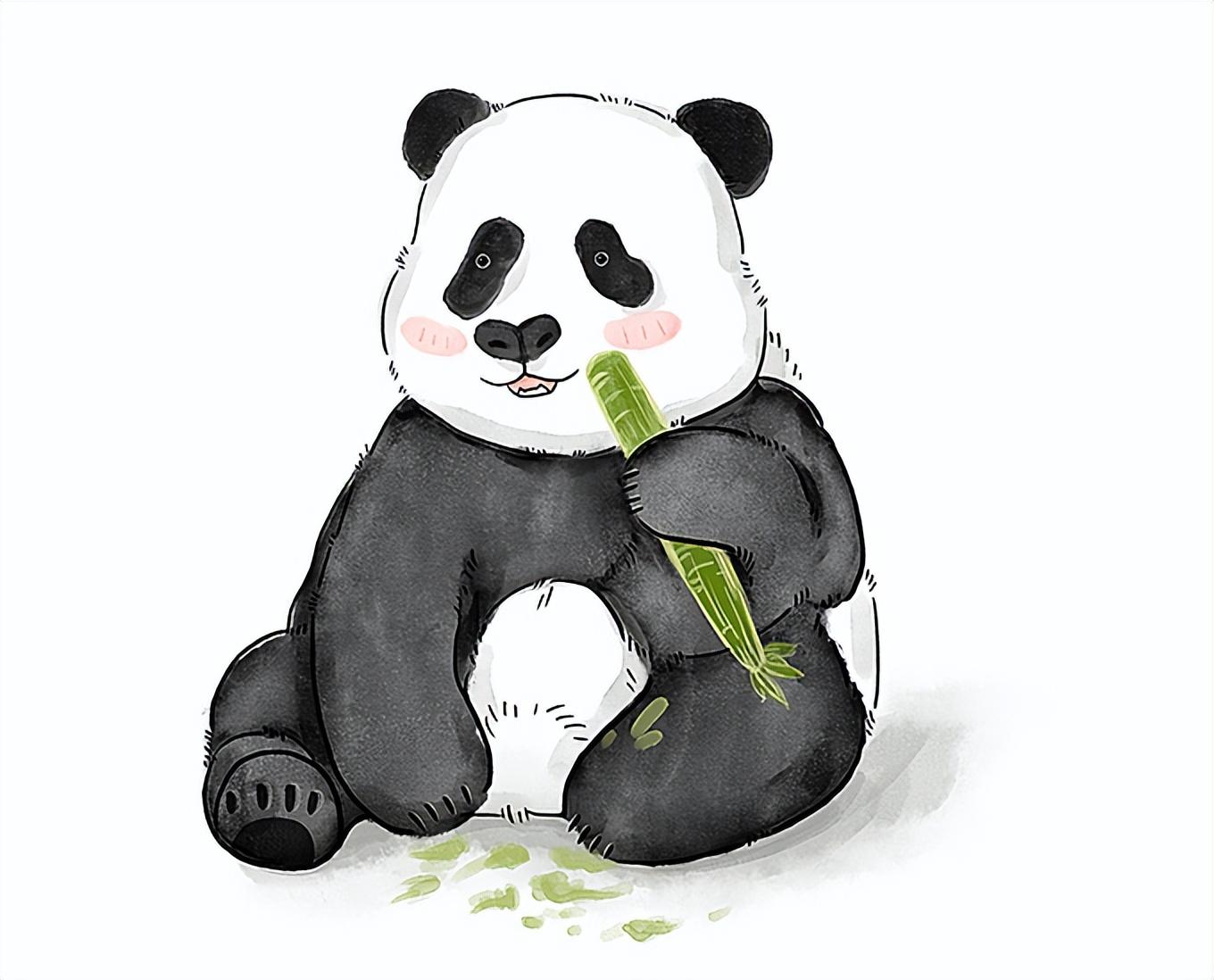 给猫剪指甲突然飙血？你可能碰了它的命门！