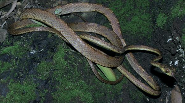 一汽大众CC最新报价解析，哪款配置最值得入手，购车优惠如何把握