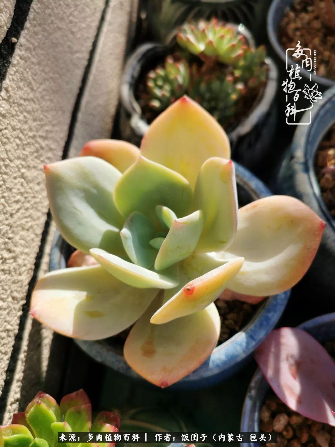 还在为续航里程焦虑?城市短途出行痛点 SOCO电动车全流程避坑指南 省3000元 提速3天 还在为续航里程焦虑?城市短途出行痛点 SOCO电动车全流程避坑指南 省3000元 提速3天