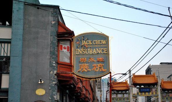 新手玩猫咪SV真的能躺赢吗？